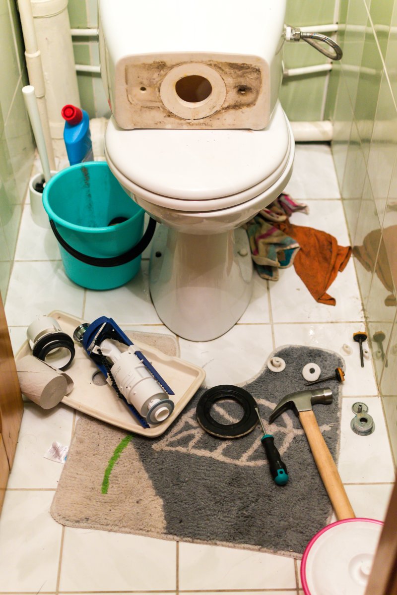 Blocked Toilet Send, Ripley, GU23